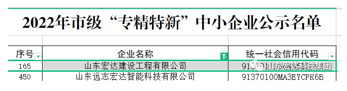 【榜上有名】宏達(dá)建設(shè)榮獲“2022年市級(jí)專精特新”企業(yè)